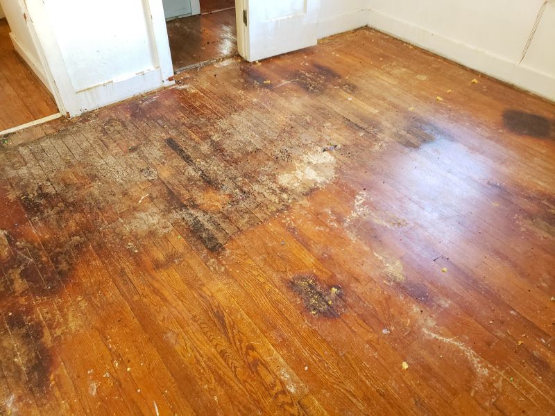 Hardwood Floor Staining
